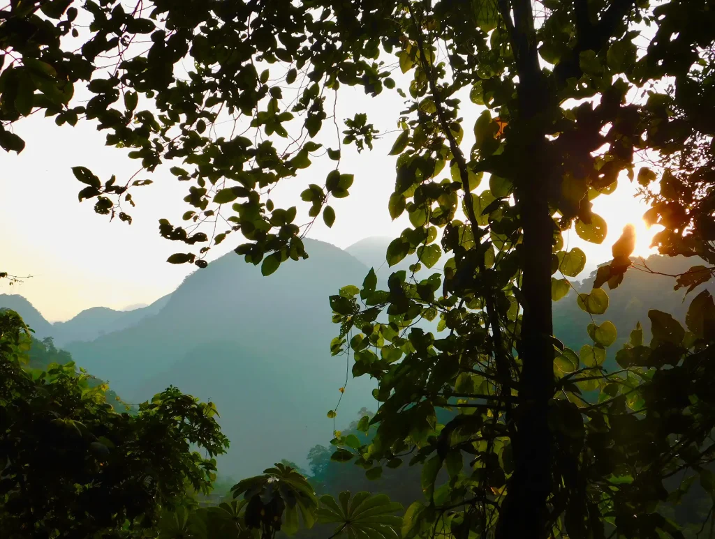 Mountains and trees in the Sierra Mazateca in Oaxaca, Mexico.