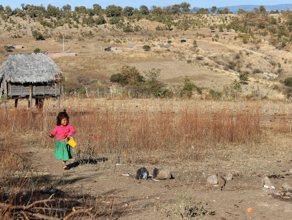 Ha Ta Tukari. Girl waking on the field in La Cebolleta in the Sierra Wirárika.